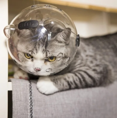 #ad Cat Muzzle Transparent Durable Anti Bite Cat Mouth Cover Helmet Muzzle Cat Space $13.00