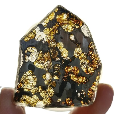 #ad 17.7G SERICHO pallasite Meteorite slice from Kenya TA401 $51.04